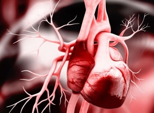 Cảnh báo 5 triệu chứng sớm của suy tim bạn không nên chủ quan